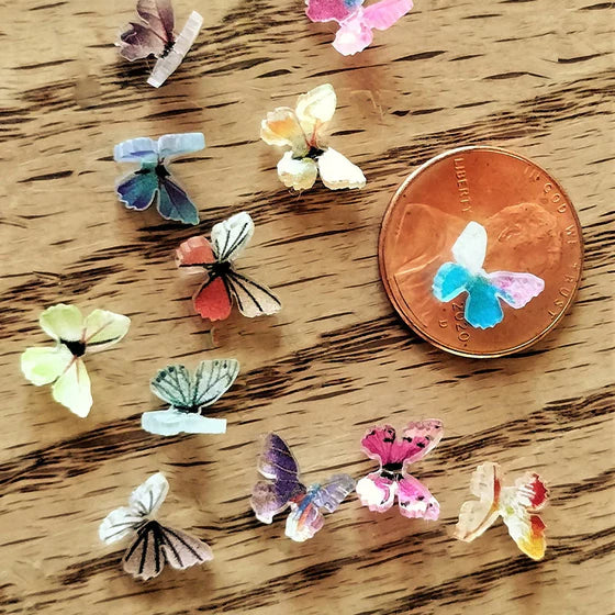 🦋Micro Miniature Butterflies