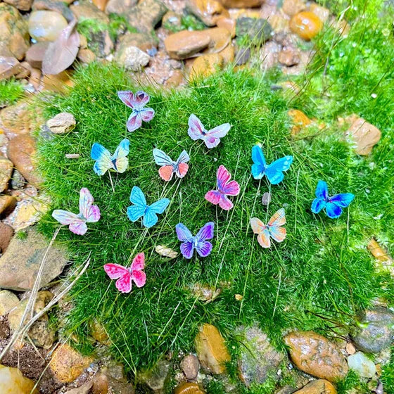 🦋Micro Miniature Butterflies