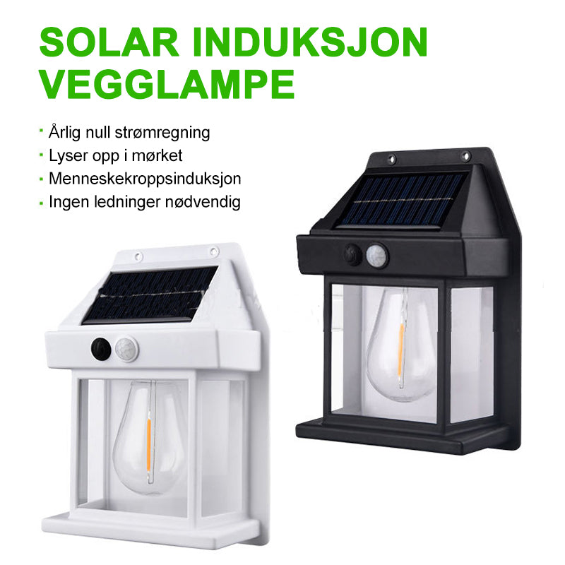 Solar Tungsten Vegglampe