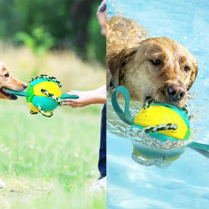 Tyggbar skvisbar UFO-ball for hund