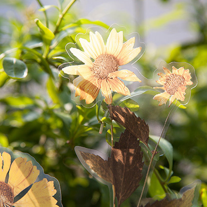 Klistremerkesett med tørkede blomster