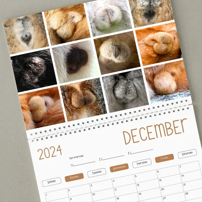 Morsom Katteballer kalender 2024