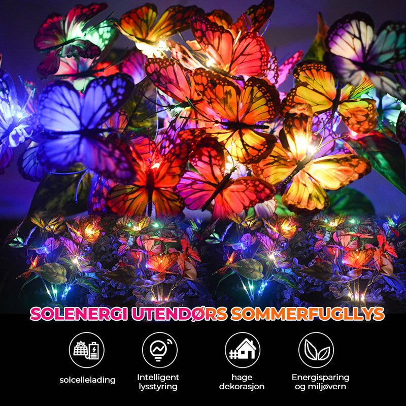 Solar Butterfly Garden Lights