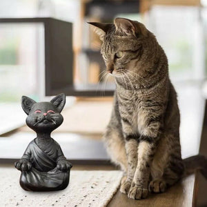 Buddha-katten