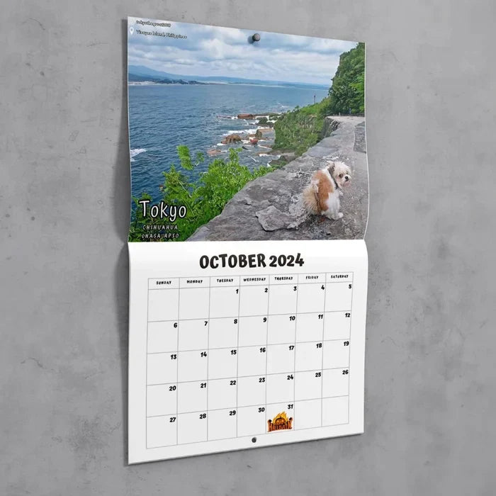 😆århundrets Morsomste Kalender|"Kunstnerisk Uttrykk" For Pelskledde Venner