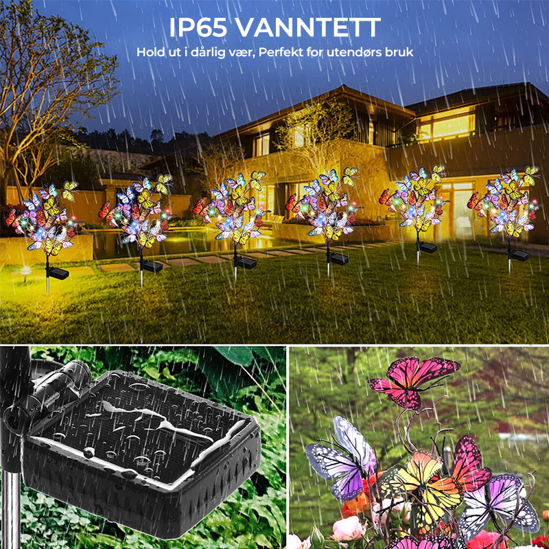 Solar Butterfly Garden Lights