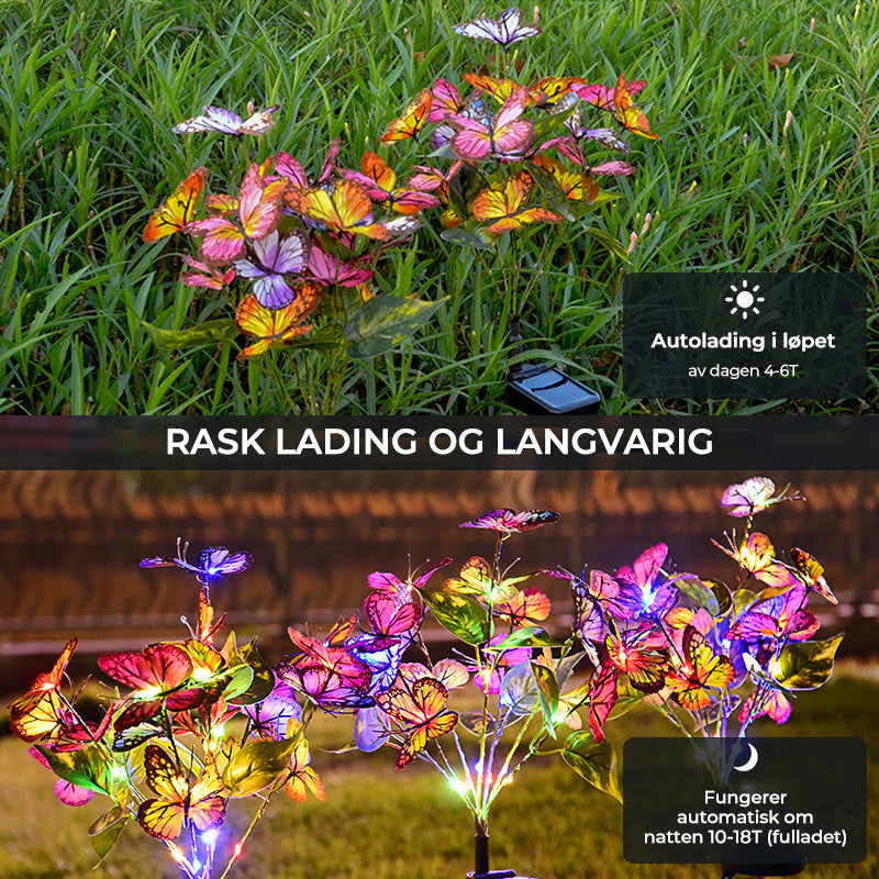 Solar Butterfly Garden Lights