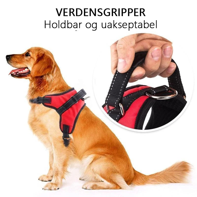 Hirundo® Justerbar hundesele til hunder som elsker å trekke