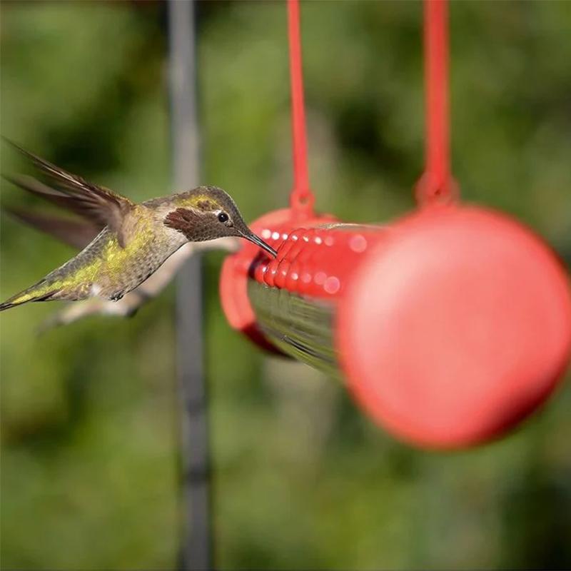 Hengende Hummingbird-mater