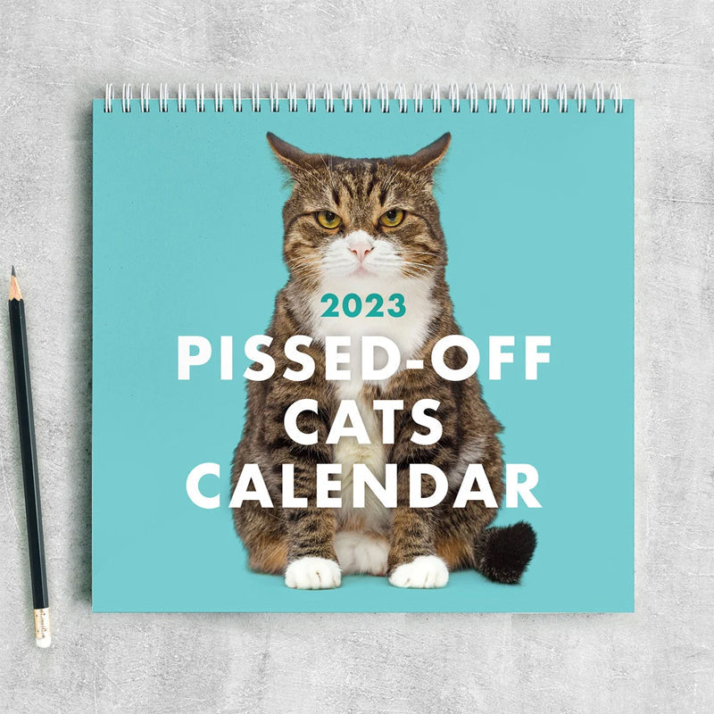 😾2024 Forbanna kattekalender