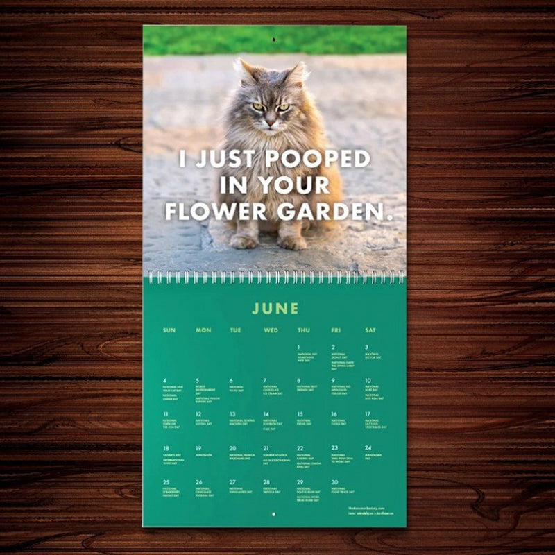 😾2024 Forbanna kattekalender